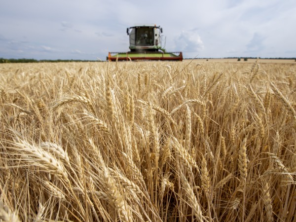 Във вторник Украйна изрази надежда, че износът на зърно ще