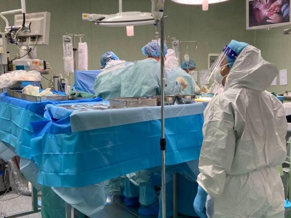 Хирурзи от Нюйоркския университет успешно са направили трансплантации на свински