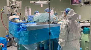 Хирурзи от Нюйоркския университет успешно са направили трансплантации на свински
