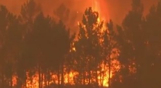 Продължават горещините в Европа Пожари има в много страни като Португалия