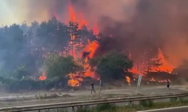 Екипи на пожарната следиха цяла нощ двата пожара край Казанлък