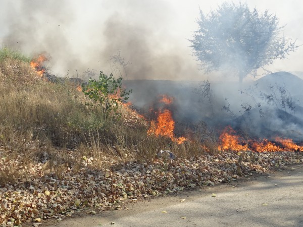 Пожар обхвана около 1000 декара сухи треви, пасища и лесонепригодни