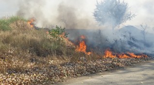 Пожар обхвана около 1000 декара сухи треви пасища и лесонепригодни