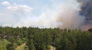 Локализиран е пожарът между пазарджишките села Калугерово и Лесичово съобщава