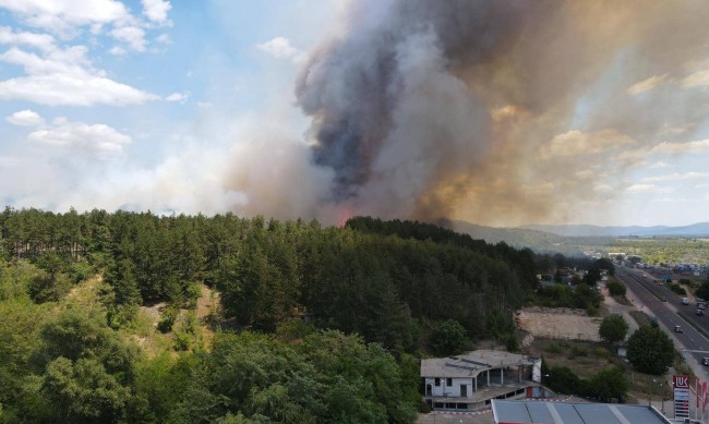 Овладяха пожара между Калугерово и Лесичово