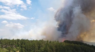 Голям пожар бушува във вилната зона на бургаското село Изворище