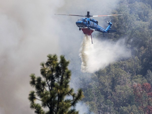 Досега калифорнийският пожар, който гори в близост до националния парк