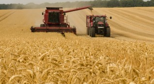 Зърнопроизводители заплашват с протести заради нерегламентирания внос на евтина пшеница