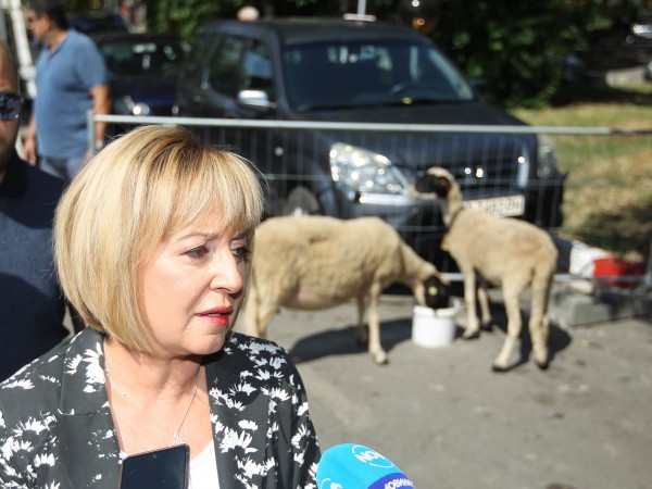 Снимка: Димитър Кьосемарлиев, Dnes.bg"Хората не са овце". Под това мото