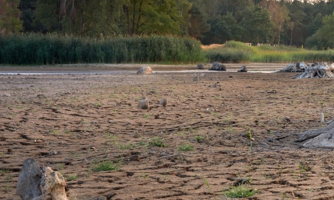 Франция е обхваната от най-тежката суша досега 