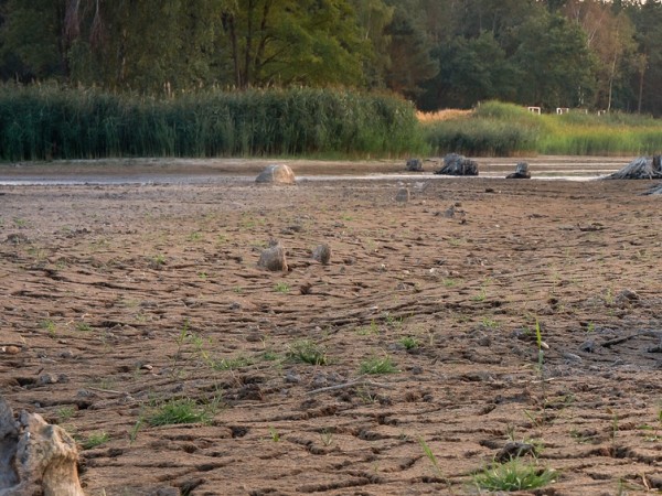 Франция преживява най-тежката суша, регистрирана някога досега в страната, предупреди