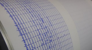Земетресение с магнитуд 4 1 по Рихтер бе регистрирано преди обяд