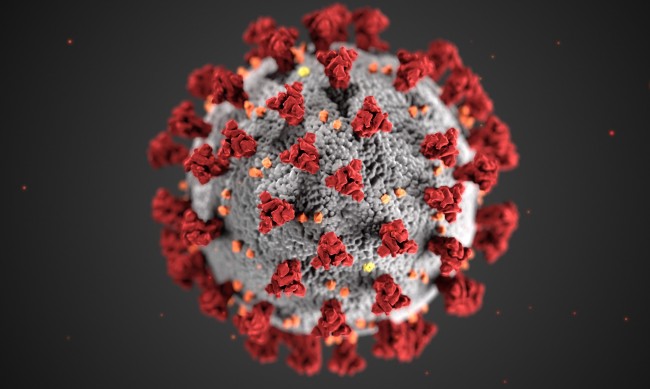 411 нови случая на коронавирус, 4 души са починали