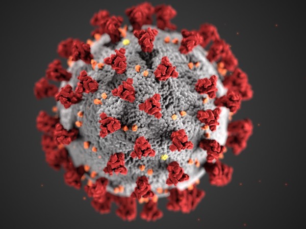 1636 са новите потвърдени случаи на коронавирус у нас за