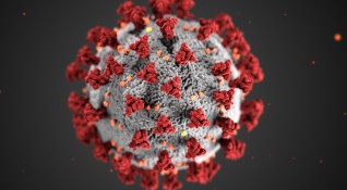 1636 са новите потвърдени случаи на коронавирус у нас за