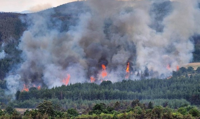30 пожара бушуват към този момент в България