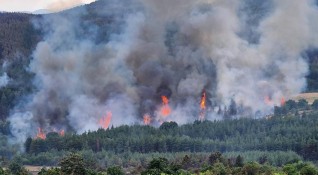 На територията на страната в момента бушуват 30 пожара В