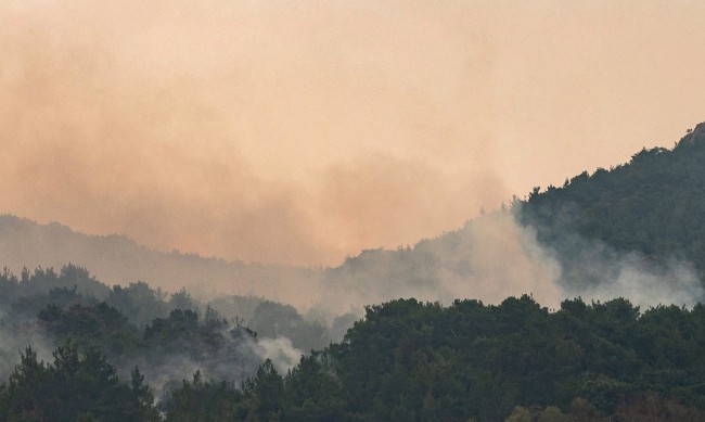 Горски пожар на гръцкия остров Тасос, евакуират жители