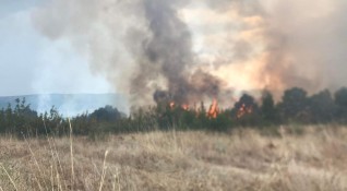 Голям пожар бушува в Сакар планина между селата Полски градец