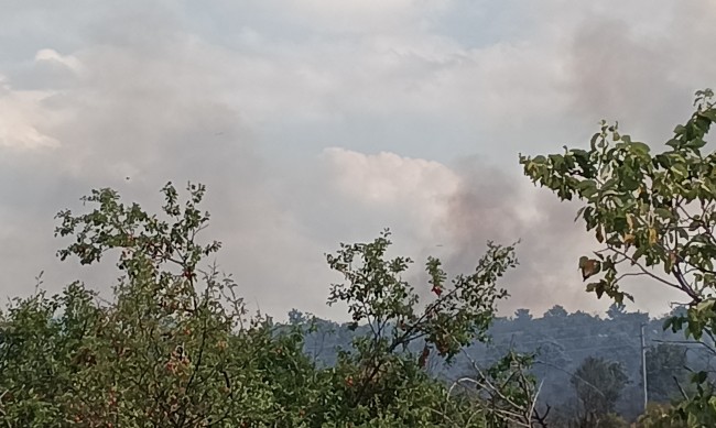 Военни се включиха в потушаването на пожара край село Брягово
