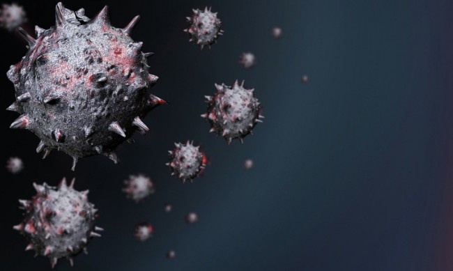 Още един вирус прескочи от животно на човек в Китай, задава ли се нова пандемия? 