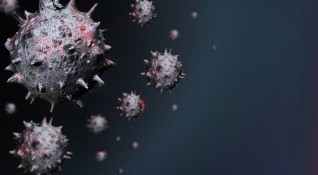 Нов хенипавирус открит в Китай може да бъде върхът на