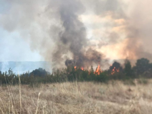 Пожарът край Любимец и Харманли е изцяло локализиран, съобщи областният