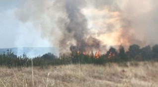 Пожарът край Любимец и Харманли е изцяло локализиран съобщи областният