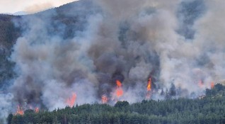 Избухна горски пожар близо до българската граница с Турция Пламъците