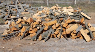 Десетки домакинства получават дърва от община Кюстендил при цена 10