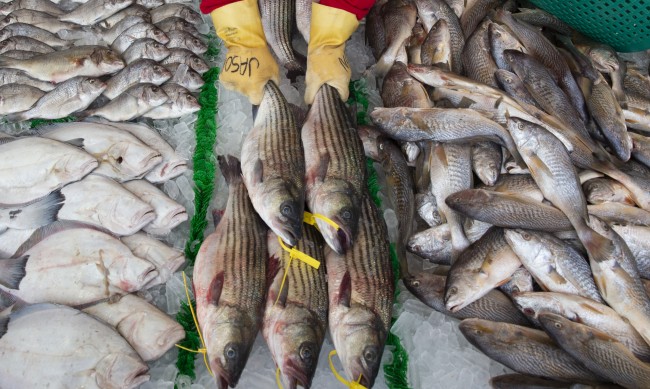 Китай ще тества уловената риба за... ковид
