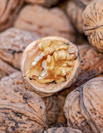 Проучване: Орехите намаляват риска от смърт с 20%