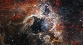 НАСА разпространи кадри на мъглявината Тарантула заснети от телескопа Джеймс