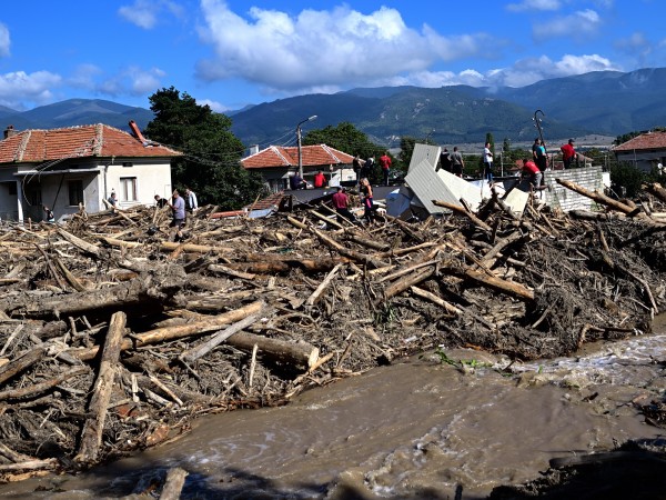 Всички дърва, които са донесени от наводнението в Карловско, остават