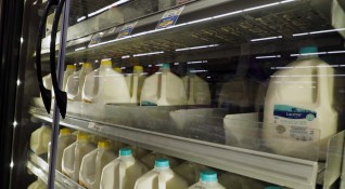 Правителството на Сърбия забрани износа на мляко и млечни продукти