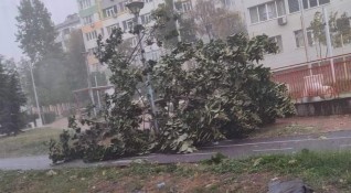 Силна буря вилнее в Бургас в града има много паднали