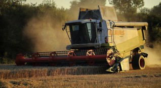 Българският хляб не се произвежда с украинска пшеница Мелниците работят