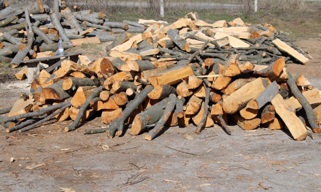 Омбудсманът иска икономическият министър да провери пазара на дърва и пелети