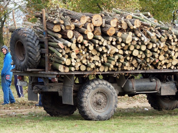За агресия срещу горски инспектор от Регионална дирекция по горите-Ловеч