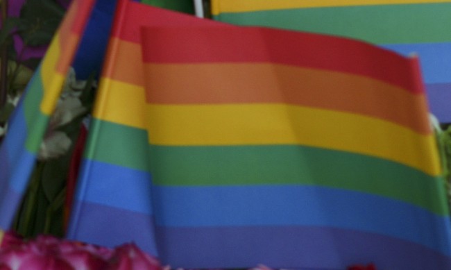 В Словения разрешиха еднополовите бракове