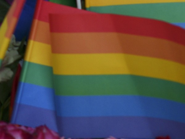 Парламентът на Словения прие поправка, която позволява на еднополовите двойки
