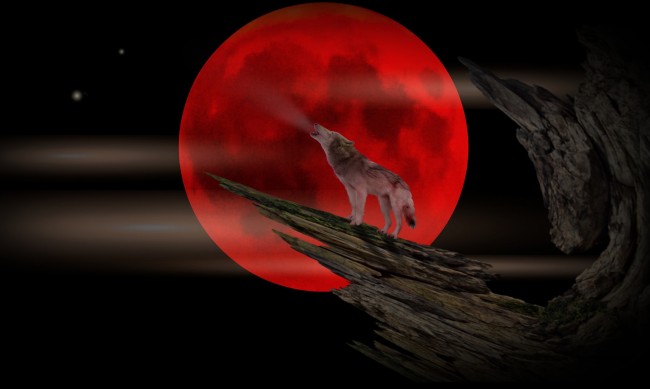 Кървавата луна носи късмет на 4 зодии