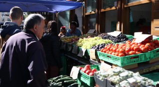 Засилен внос на оранжерийни зеленчуци от Турция и Гърция през