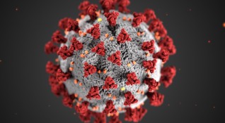 Новите случаи с коронавирус за последното денонощие у нас са