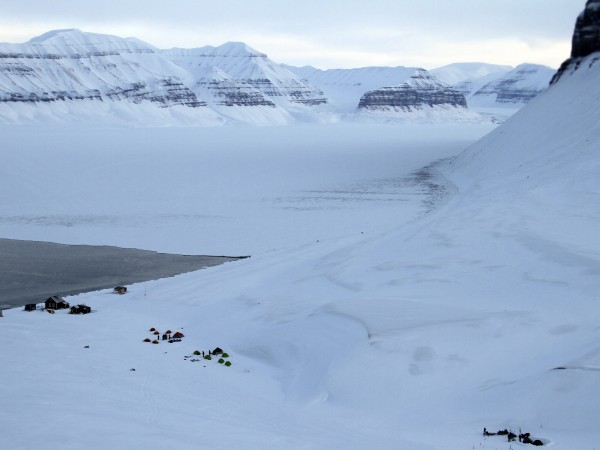 Вируси от Арктика, запазени досега в леда, може да се
