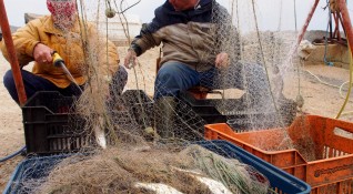 Рибарите в Царево се бунтуват заради ниската цена за изкупуване