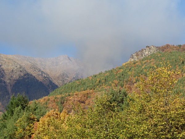Ограничен е пожарът в Рила планина, който пламна преди ден.