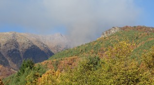 Ограничен е пожарът в Рила планина който пламна преди ден