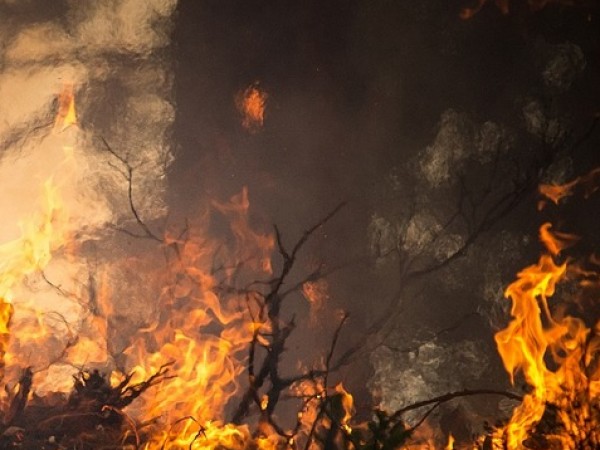 Продължава гасенето на пожара на българо-гръцката граница в района на