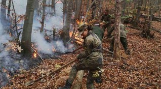 Огнищата на горския пожар на българска територия в района на